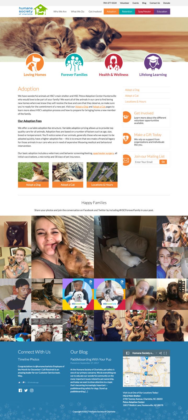 Epic Notion Client | Humane Society of Charlotte Website Design and Development and Social Media Campaign