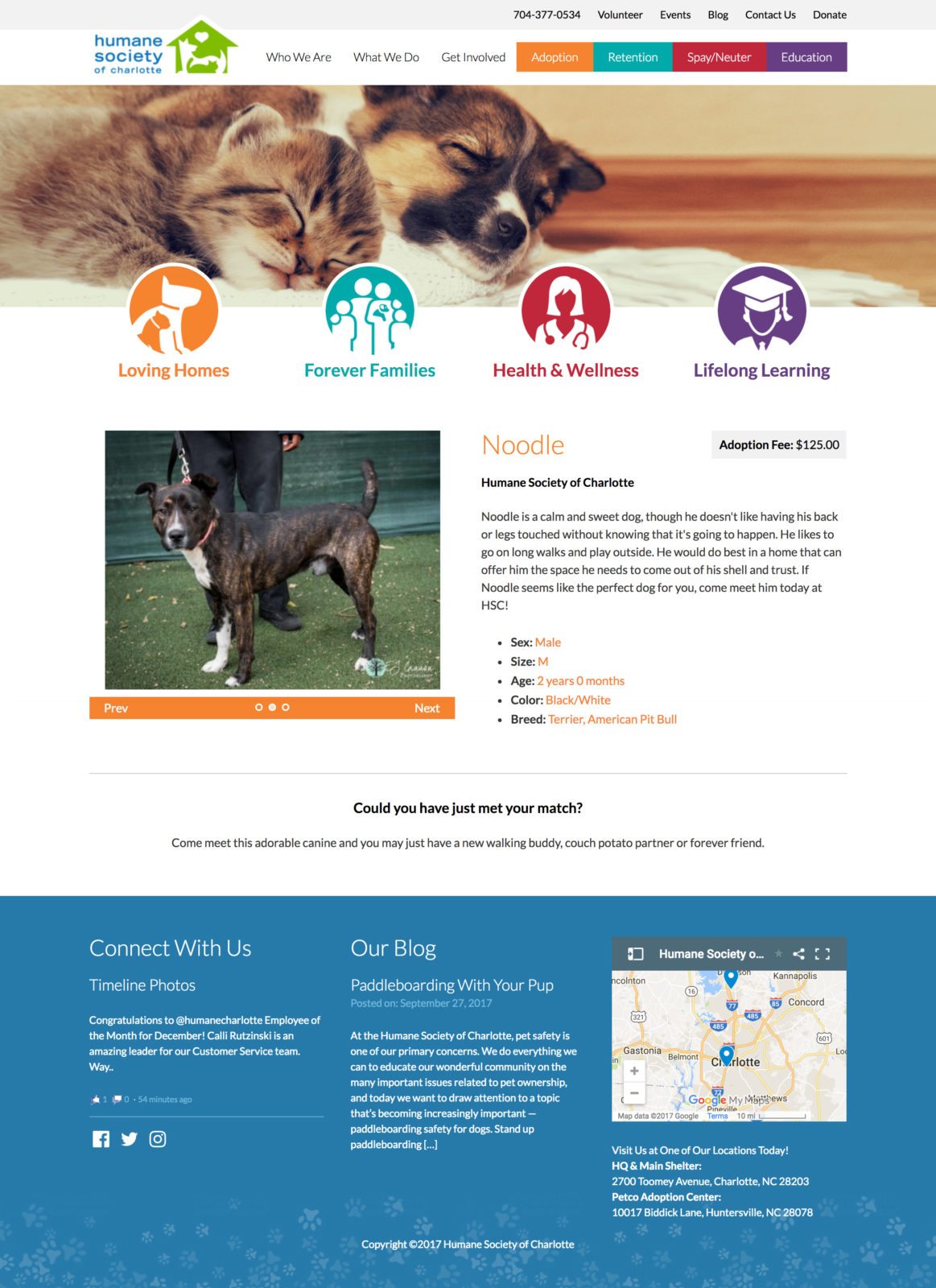 Award Winning Epic Notion Client | Humane Society of Charlotte Website Design and Development